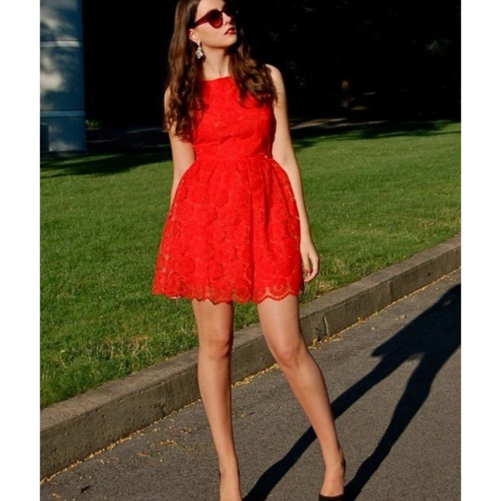 Zara red floral embroidered sleeveless mini dress